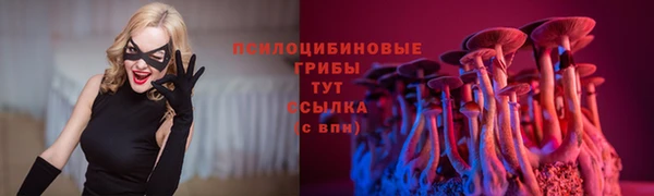 бошки Верея