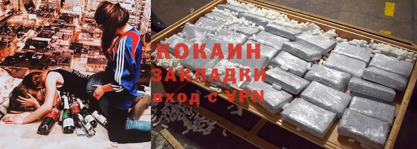 твердый Туринск
