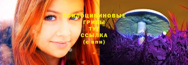 бошки Верея